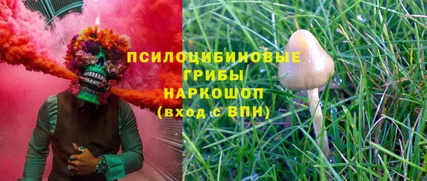 амф Нефтекумск