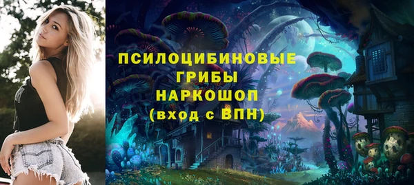 амф Нефтекумск