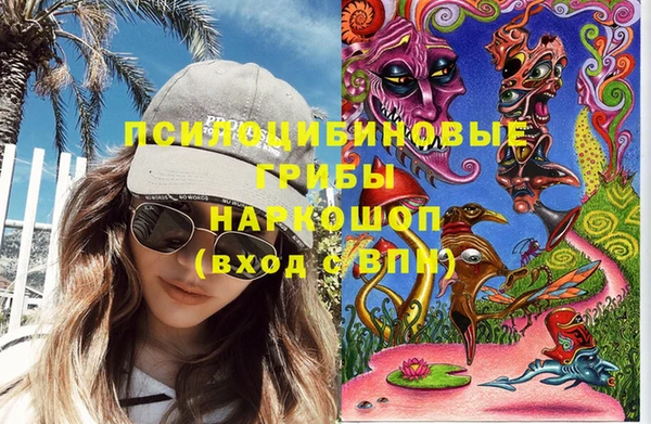 гидра Нефтегорск