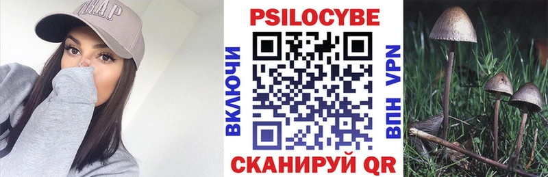 Псилоцибиновые грибы Psilocybine cubensis  купить   Сковородино 